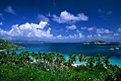 Dead Mans Bay