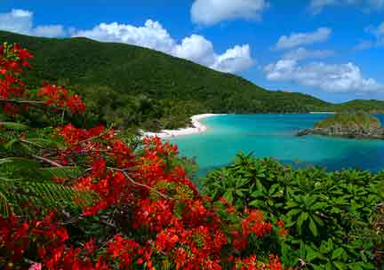 Trunk Bay